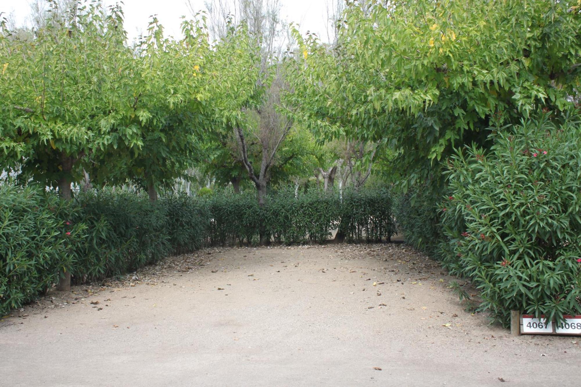 Tamarit Beach Resort מראה חיצוני תמונה