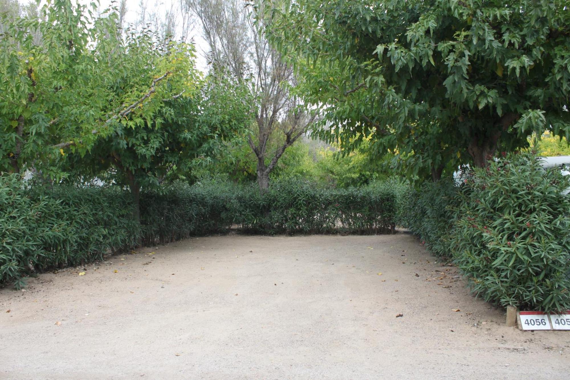 Tamarit Beach Resort מראה חיצוני תמונה